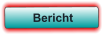 Bericht