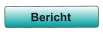Bericht