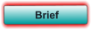 Brief