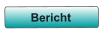 Bericht
